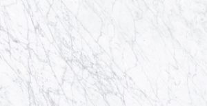 Pietra Carrara 12x24 Polished Porcelain