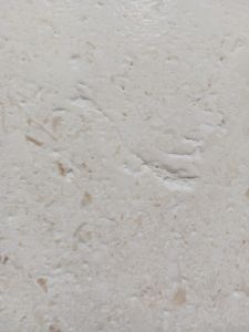 Fossil Limestone 12x24 Floor Tile - BRUSHED