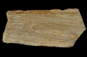 Random Natural Stone Flagstone - FOSSIL SANDSTONE