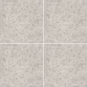 Tundra Gray 12x12 Polished Marble