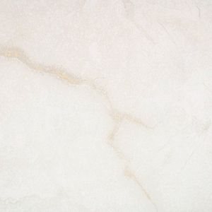 Brighton Gold 24x24 Polished Porcelain Tile