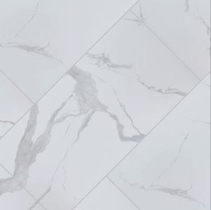 Eden Statuary 24x24 Matte Porcelain Tile