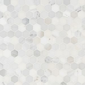 Arabescato Carrara Hexagon 12X12 Honed