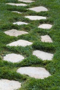 Rustic Canyon Stepping Stone